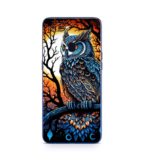 OPPO F9 Pro Owl Hub