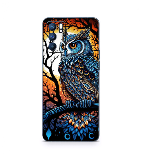 OPPO Reno 6 5G Owl Hub